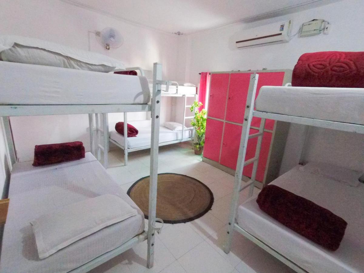 The Hostel Crawl Удайпур Екстериор снимка