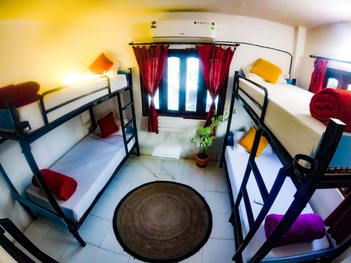 The Hostel Crawl Удайпур Екстериор снимка