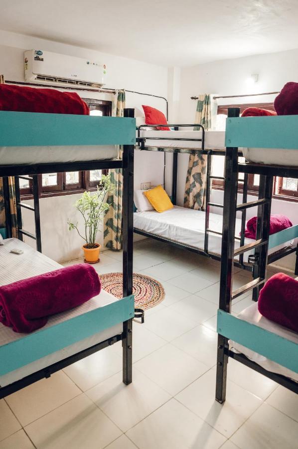 The Hostel Crawl Удайпур Екстериор снимка